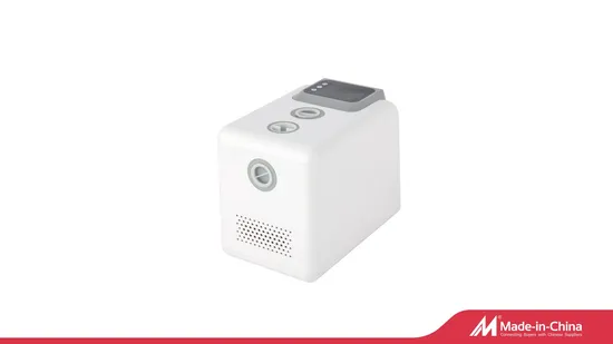 300W 500W 1100W Permanent Magnet Frequency Conversion Energy Saving Automatic Self-Priming Booster Pump